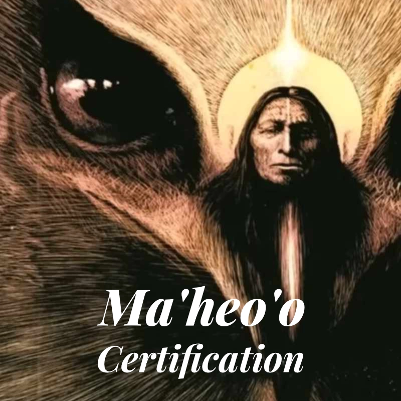 Ma’heo’o Reiki Certification Level One
